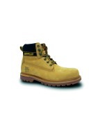 CAT Holton Miel S3SRC