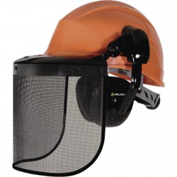 Casque type Forestier complet