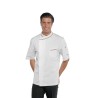 ISACCO- Veste Cuisine Italie